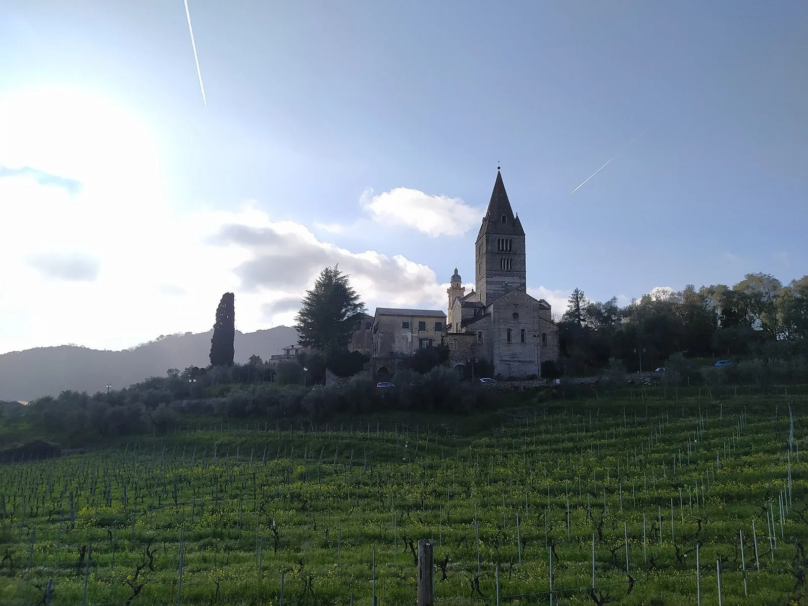 La Basilica dei Fieschi a San Salvatore di Cogorno con il campanile a cuspide, vista dai vigneti
