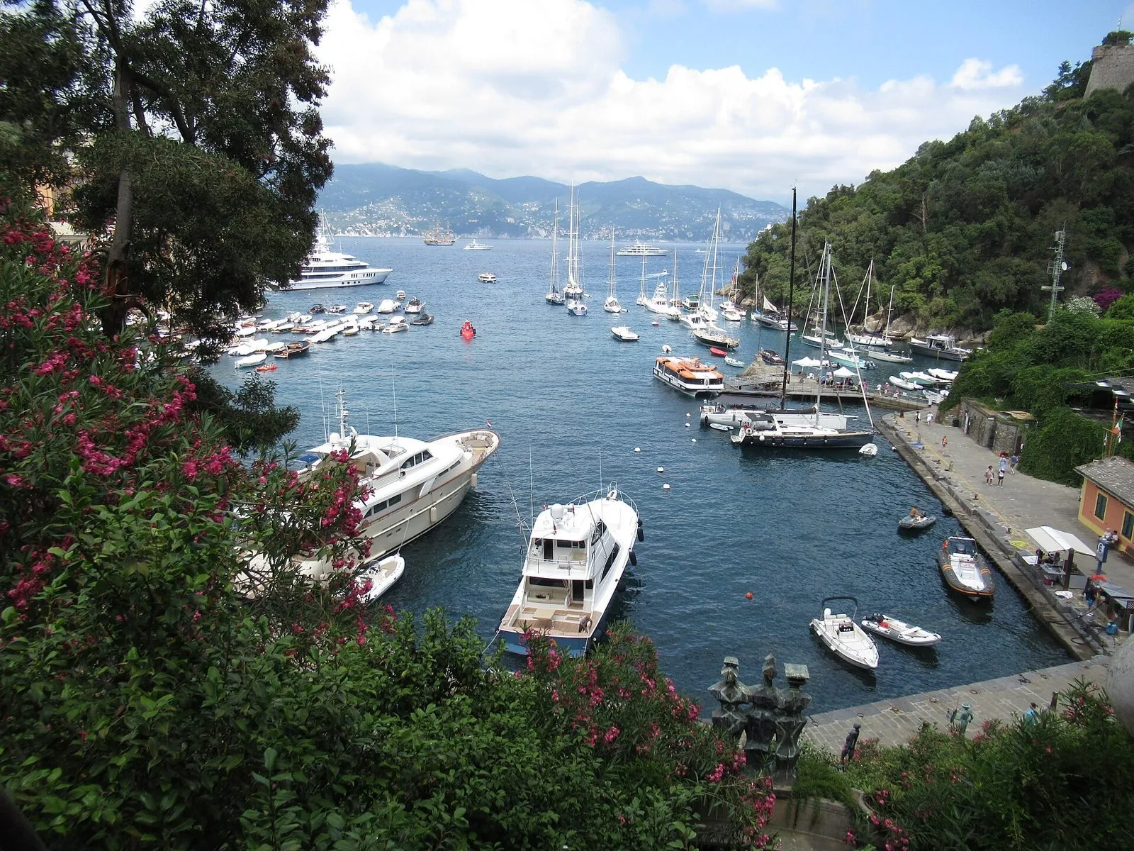 Il porticciolo di Portofino visto dall'alto, con barche ormeggiate e oleandri in fiore
